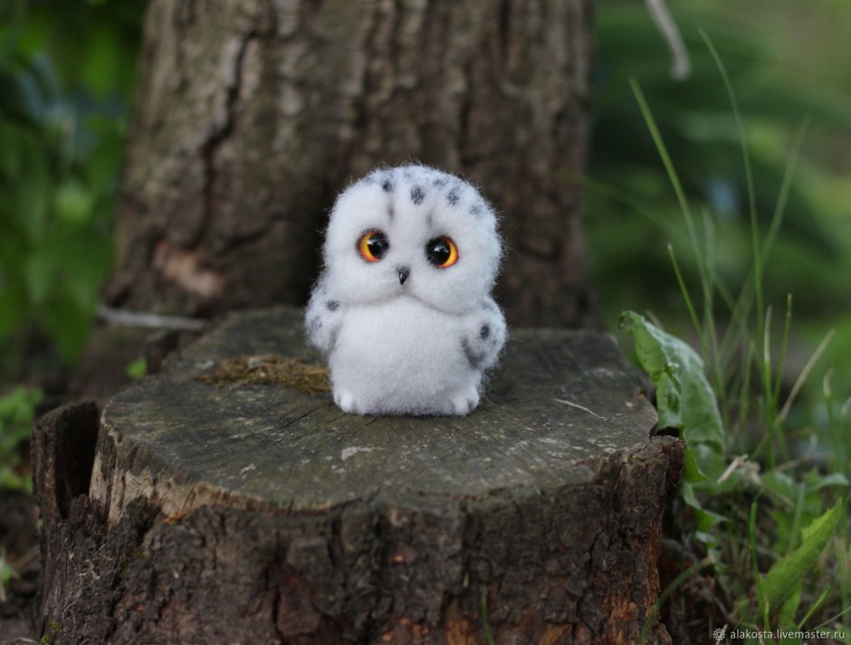 Белая Полярная Сова с птенцами