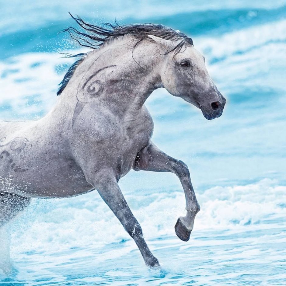 Лошадь с серебристой шерстью