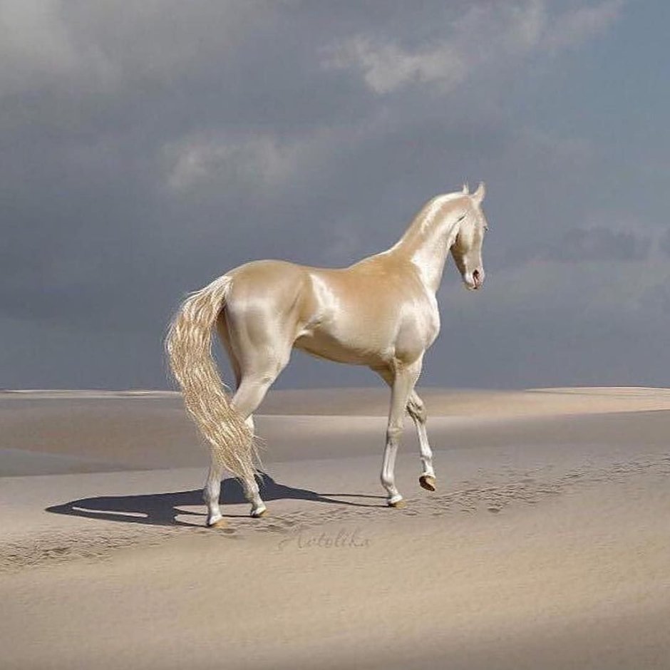 Лошадь изабелловой масти