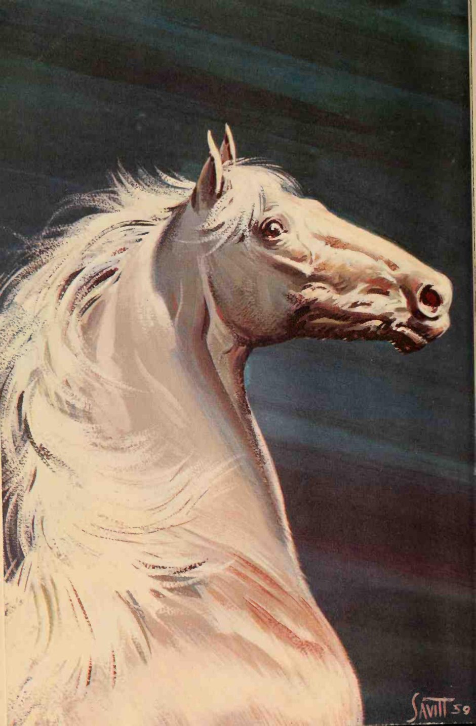 Жеребенок "Хафлингер"