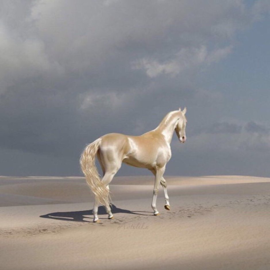 Пегий Орловский рысак