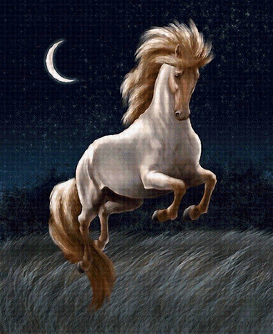 Изабелловая Ахалтекинская лошадь