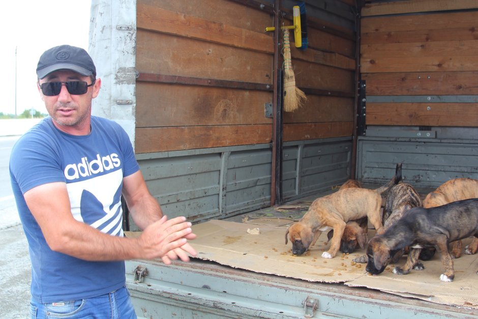 Качлаев Алан