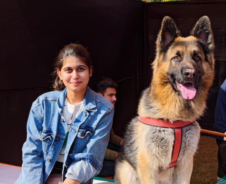 Непослушный пес