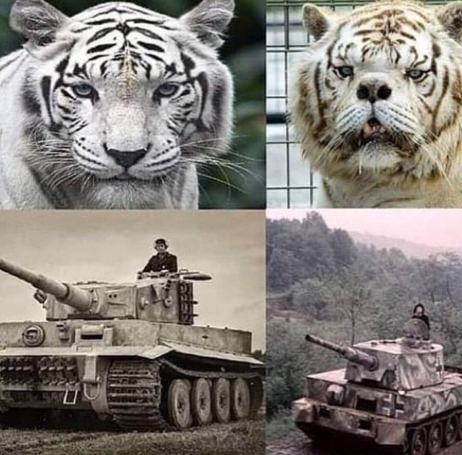 Крутые фотообои