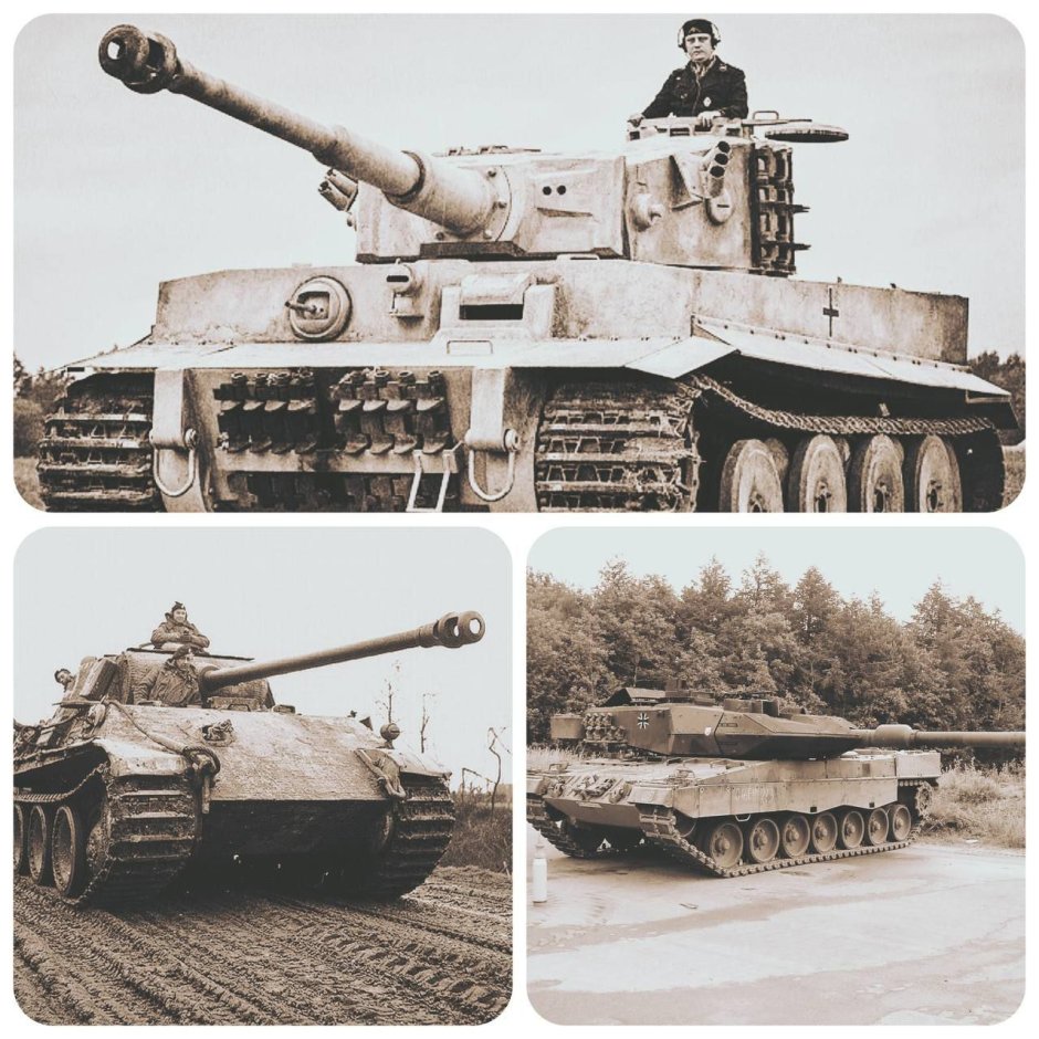 Пантера с добычей