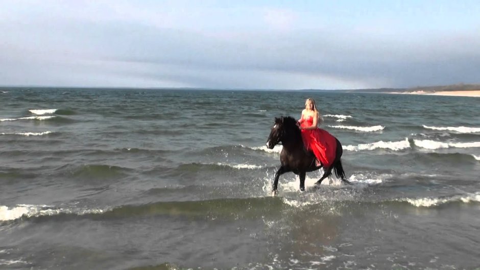 Лошади на берегу Каспия
