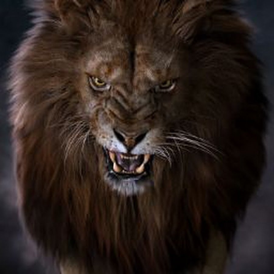 Львиный оскал