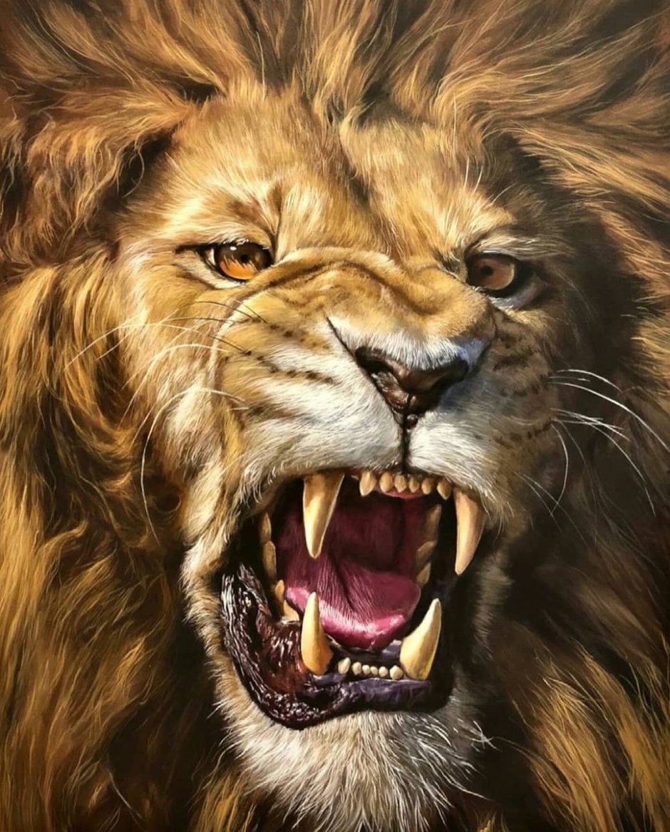 Львиный оскал