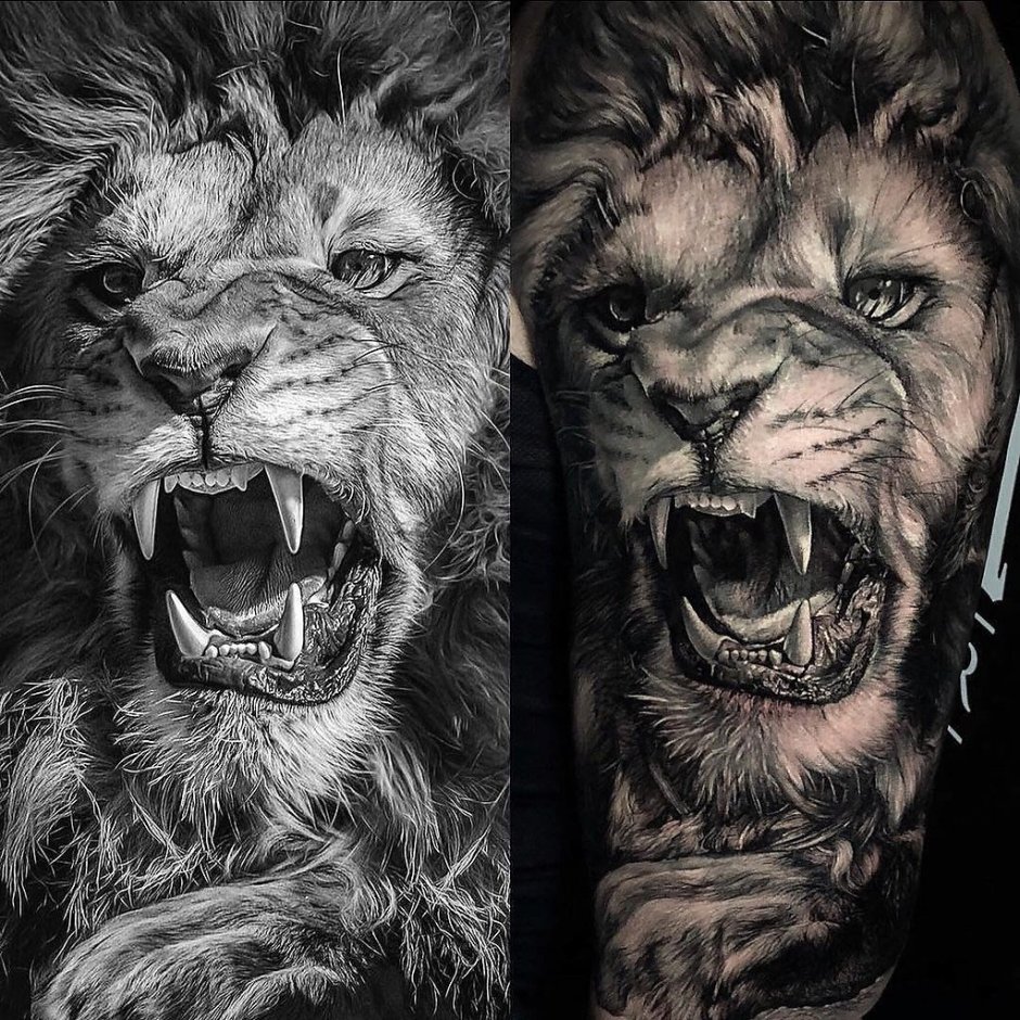 Яростный Лев
