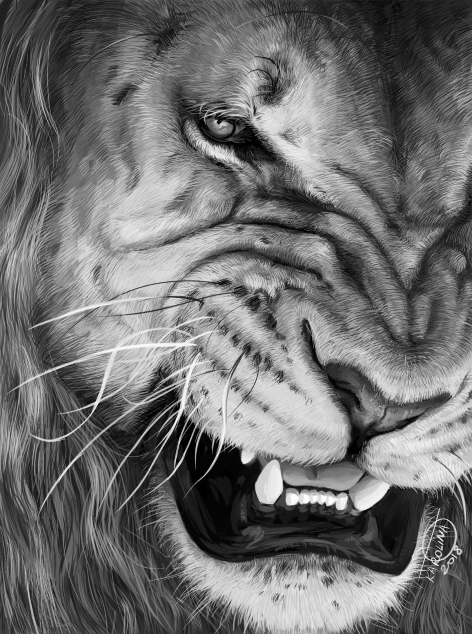 Оскал Льва обои