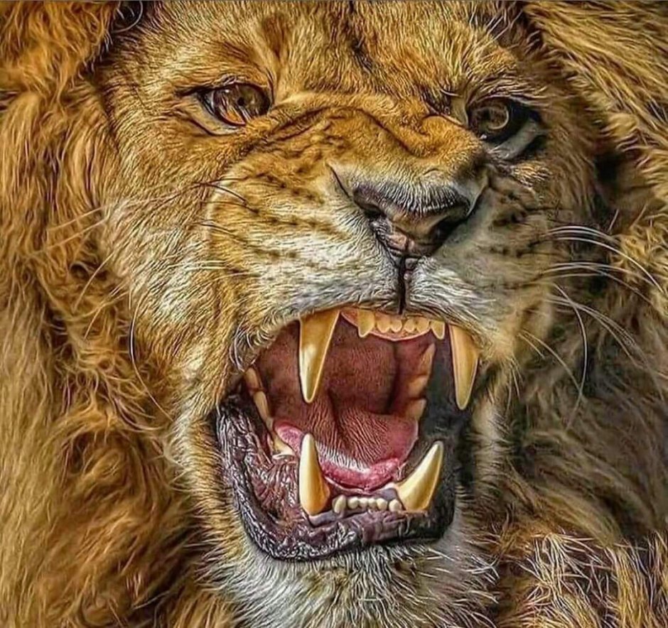Морда Льва оскал