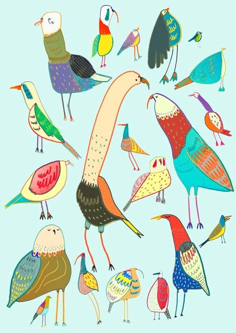 Птицы из пинтереста