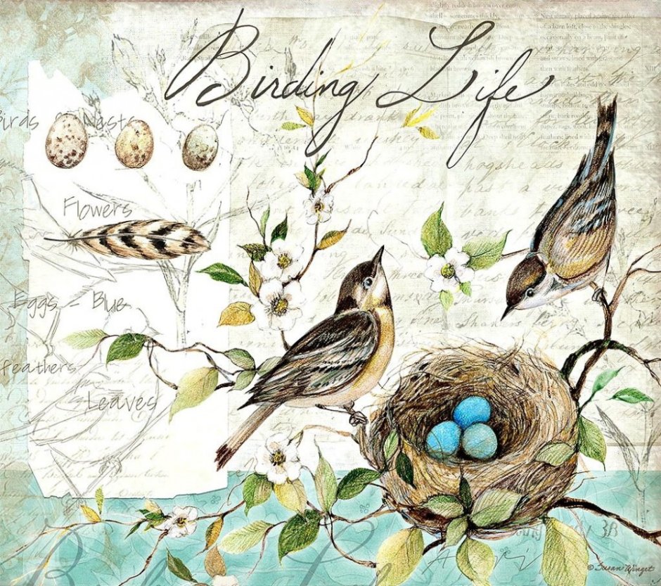 Птички для декупажа