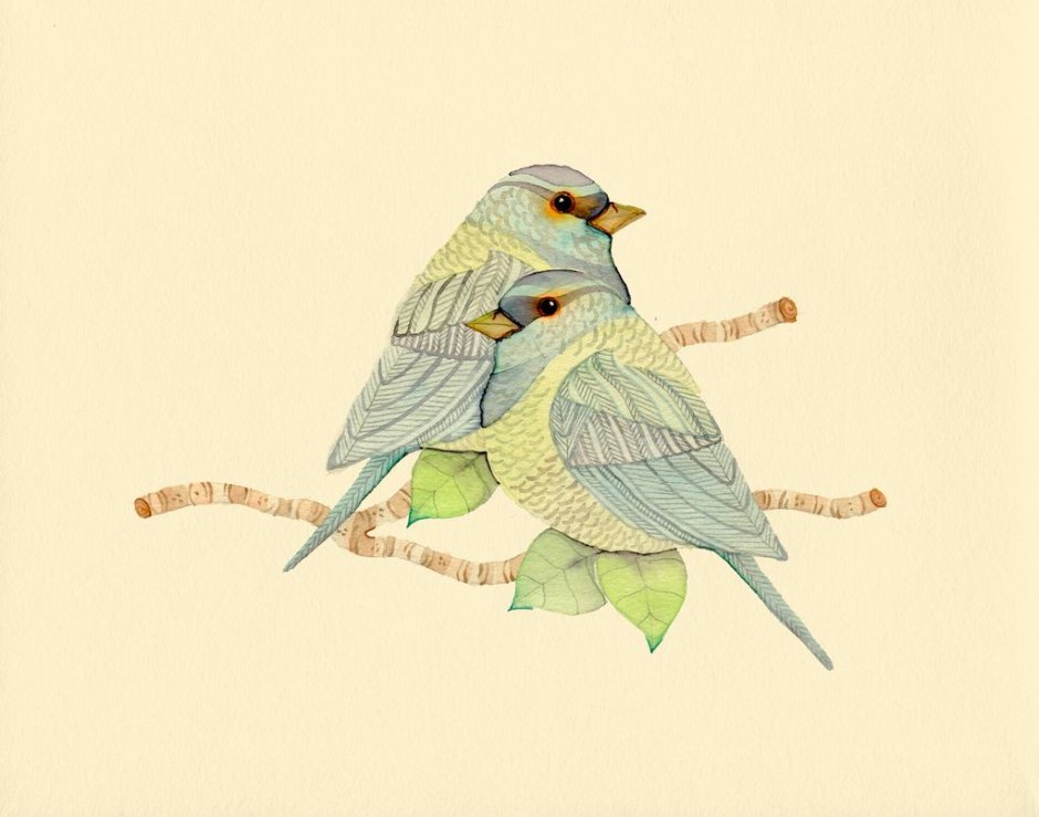 Иллюстрация птицы Алексеевой