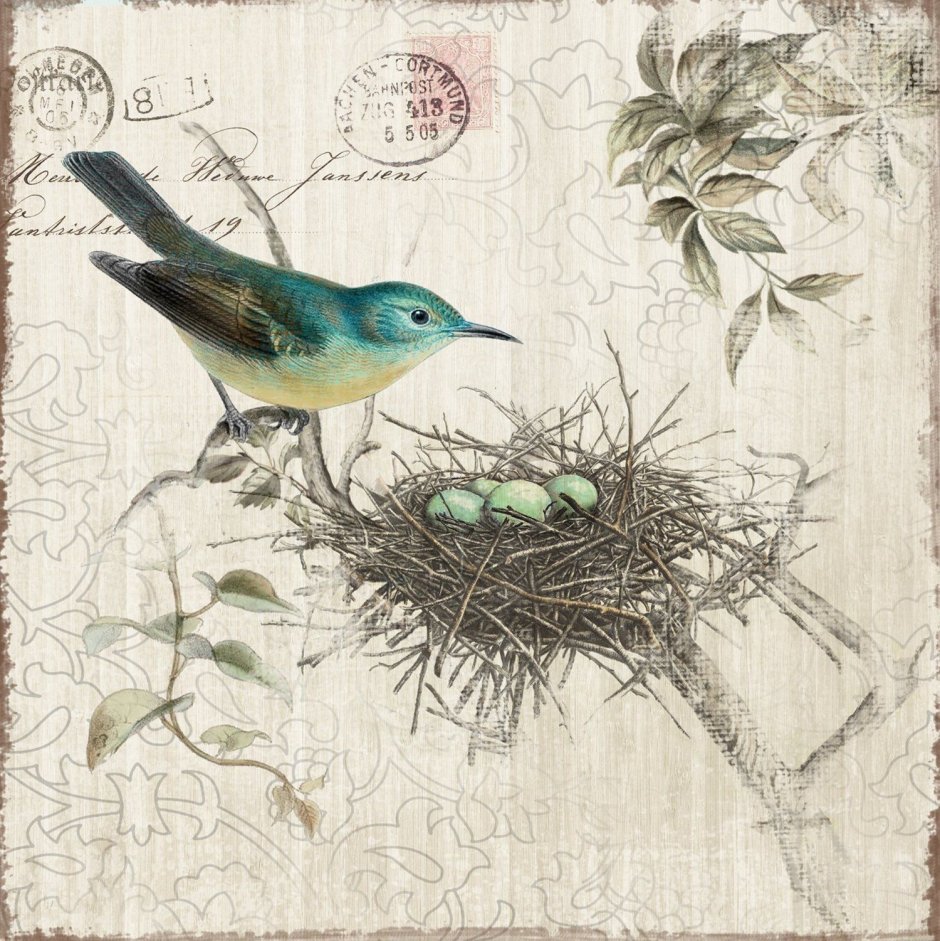 Винтажные птицы для декупажа