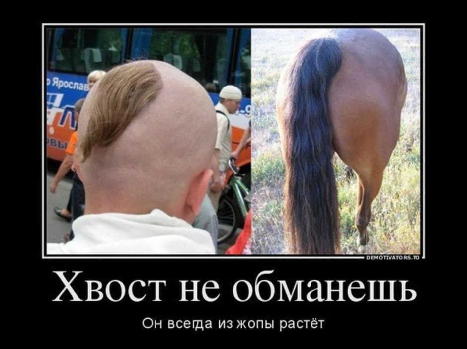 Шутки про хвост