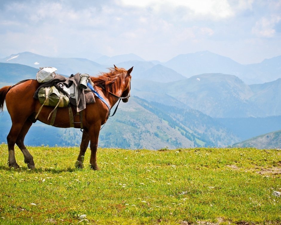 Доломитовые Альпы экскурсии