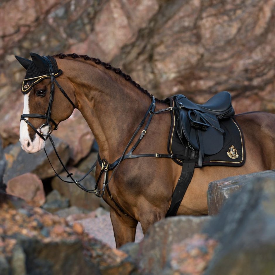 Лошадь спиной
