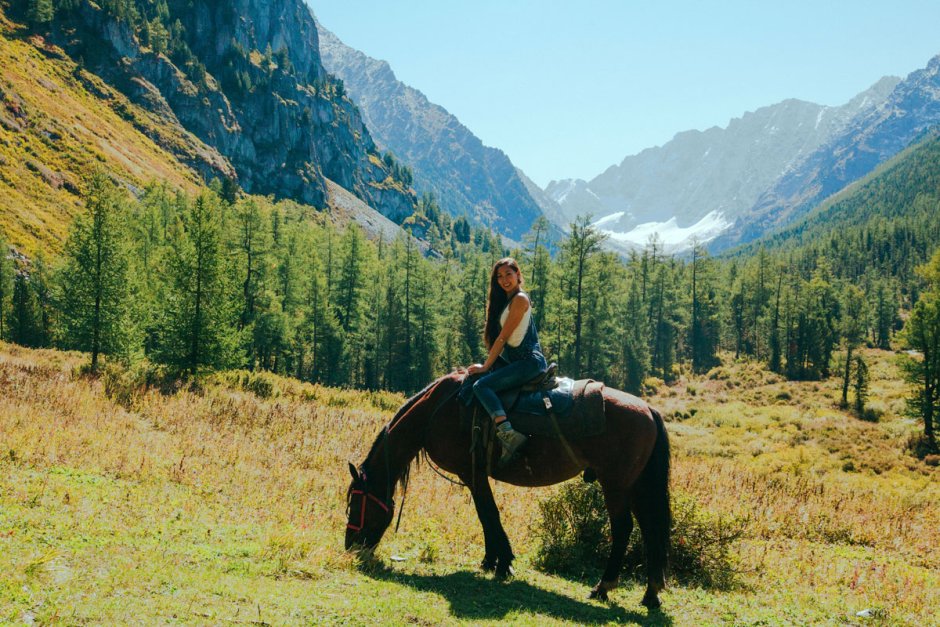 Лошади на природе