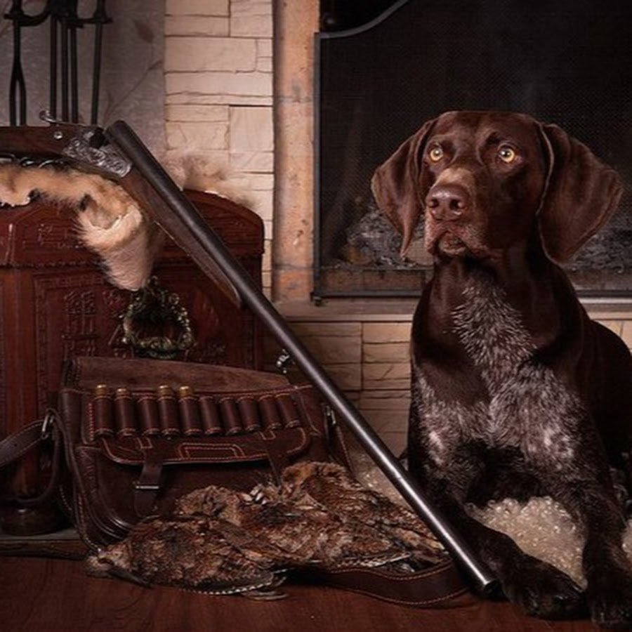 Королевская охота в Англии