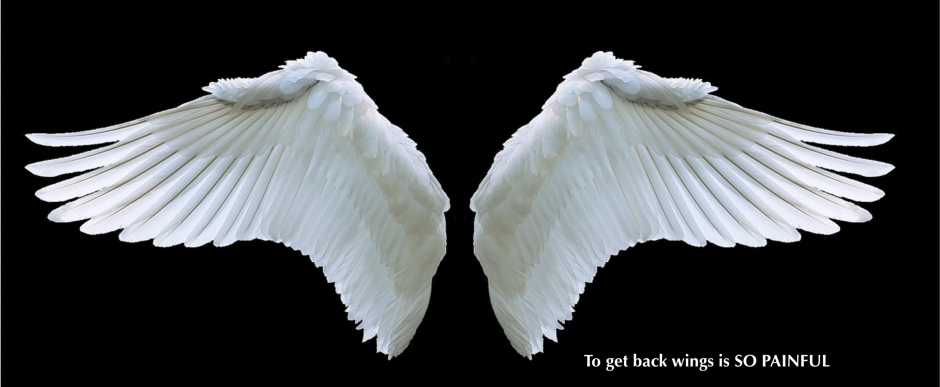 Лебедь Священная птица