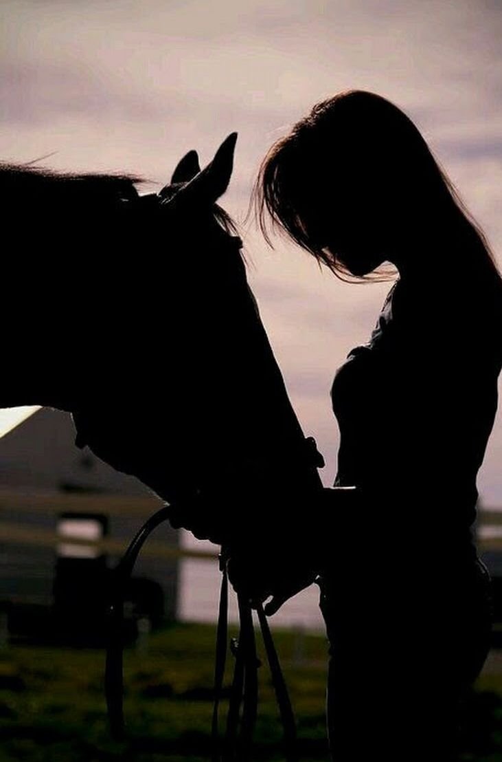 Брюнетка на лошади