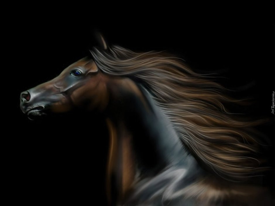 Голова лошади с гривой