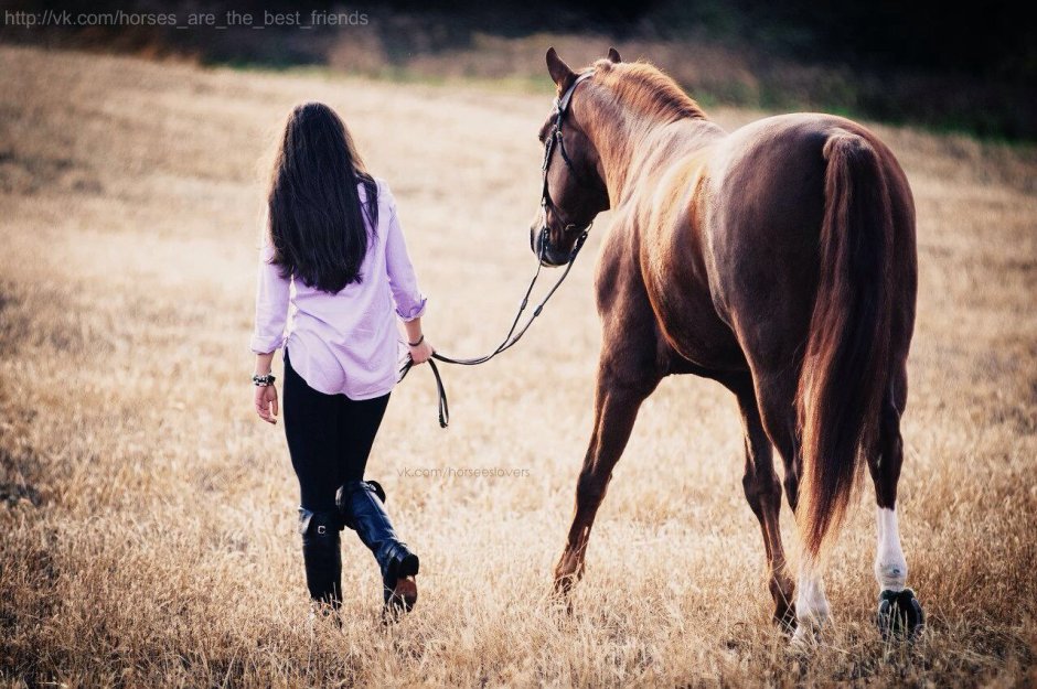 Брюнетка на лошади