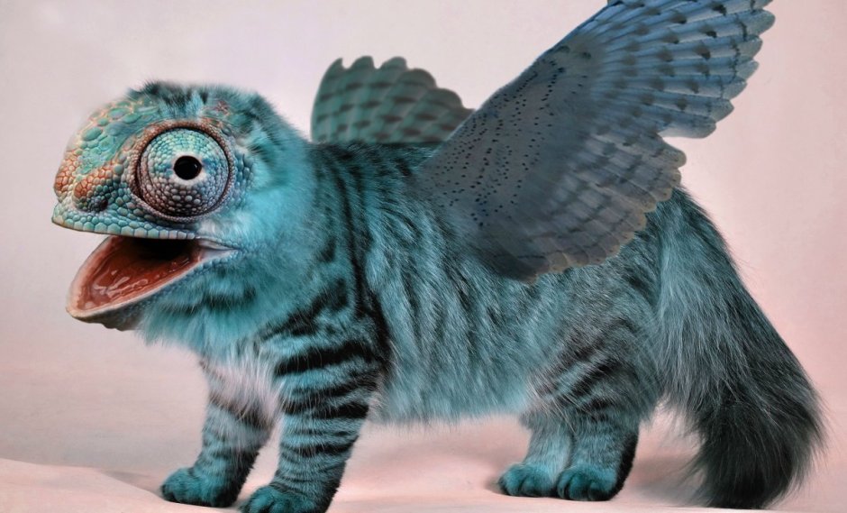 Гибриды кошек