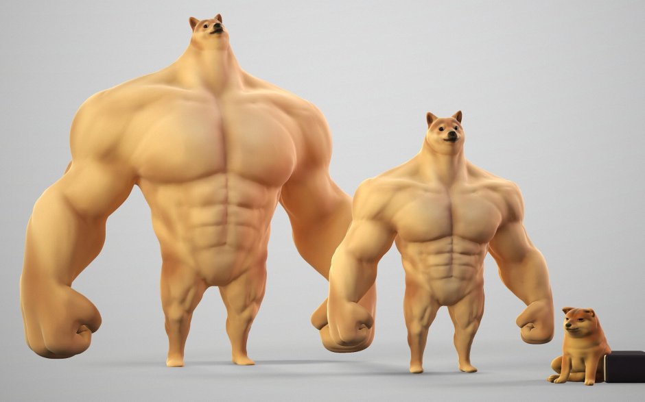 Накаченная собака Мем