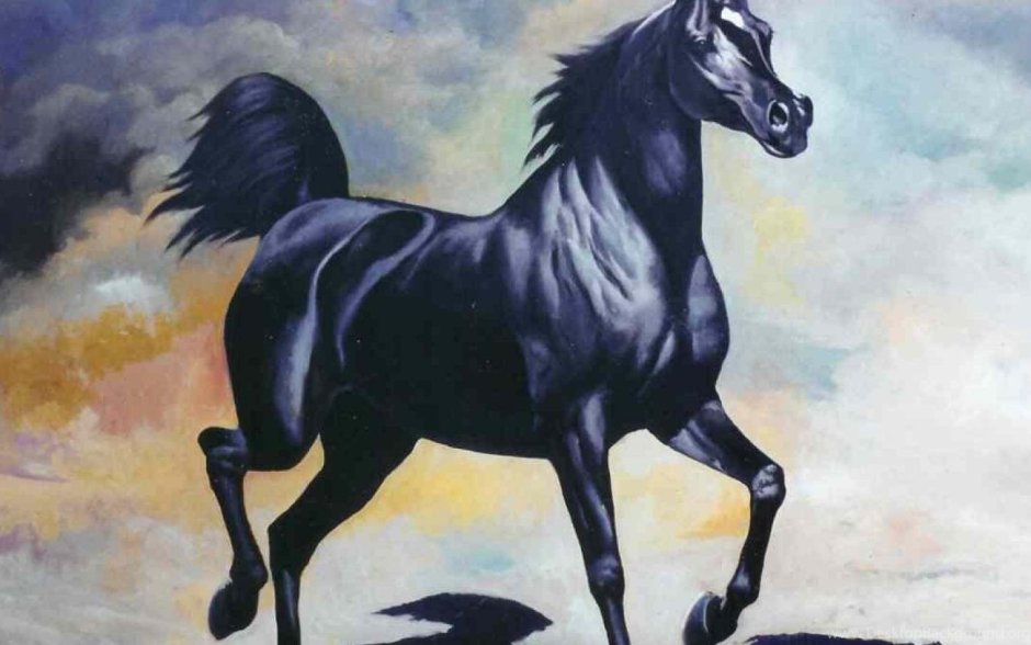 Одинокий всадник