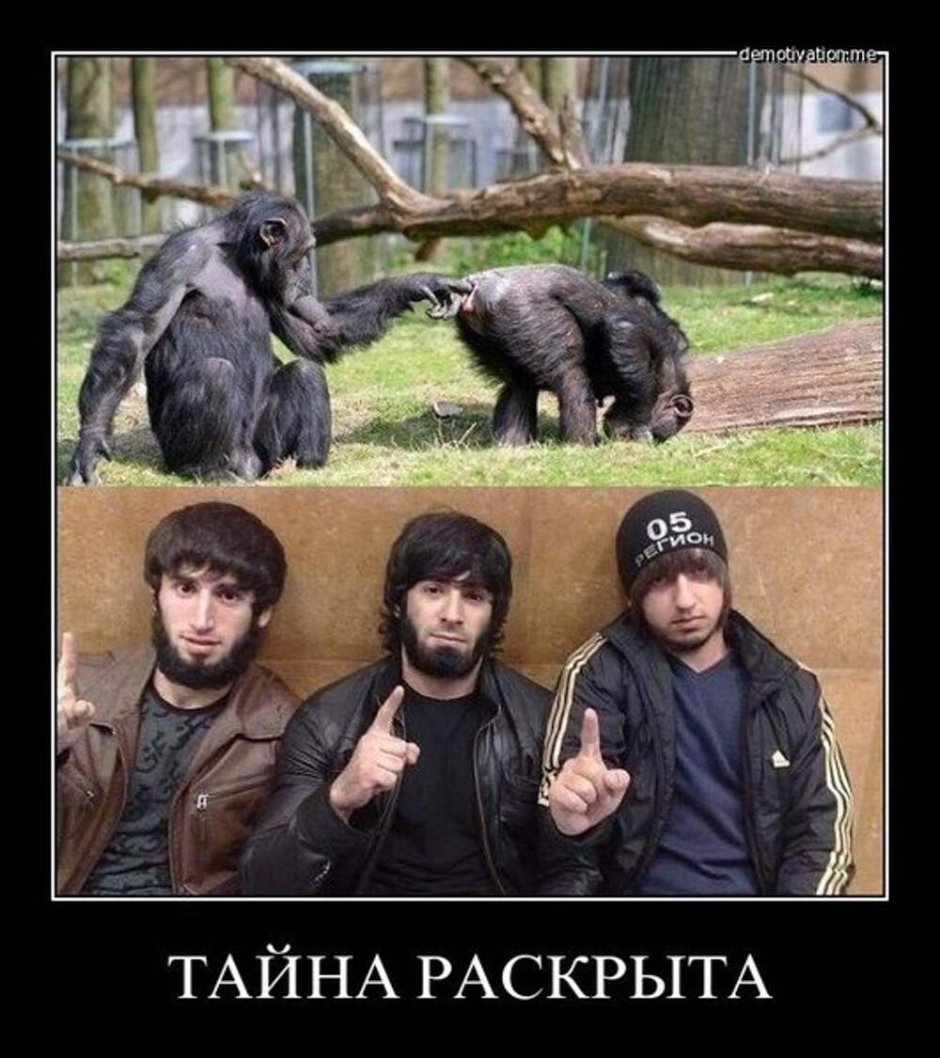 Приколы про кавказцев