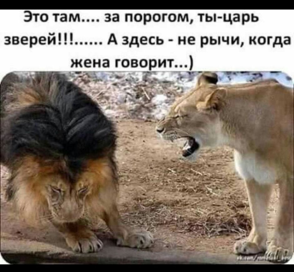 Все могу в укрепляющем меня Иисусе Христе