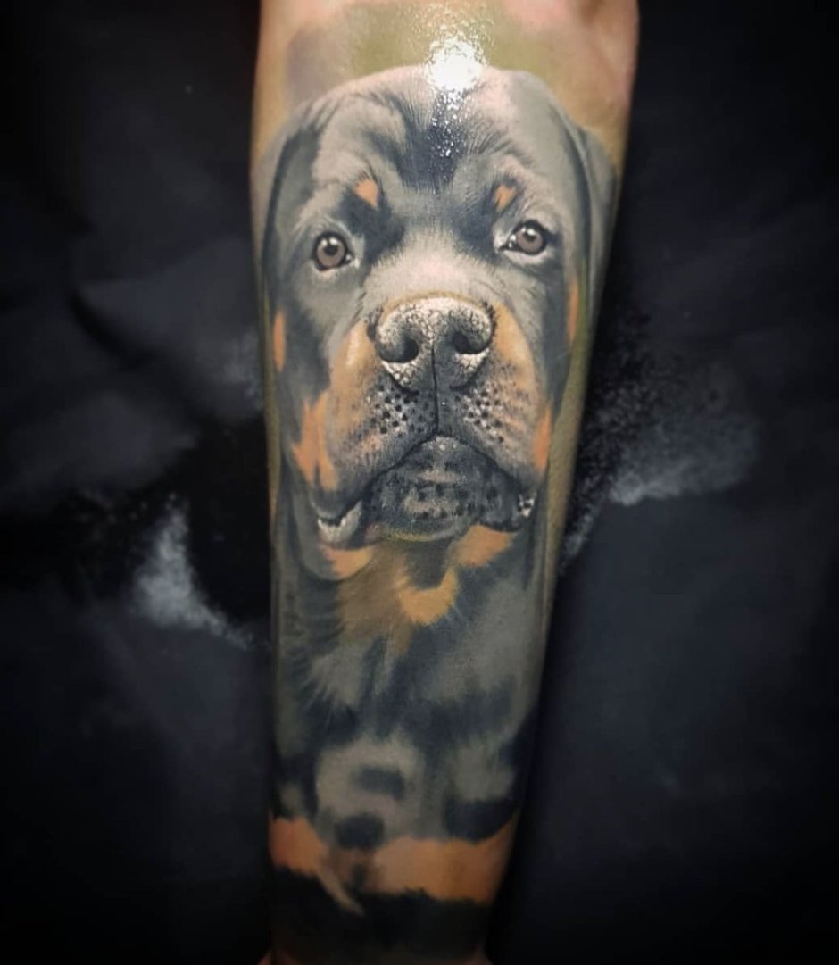 Девушка и ротвейлер арт