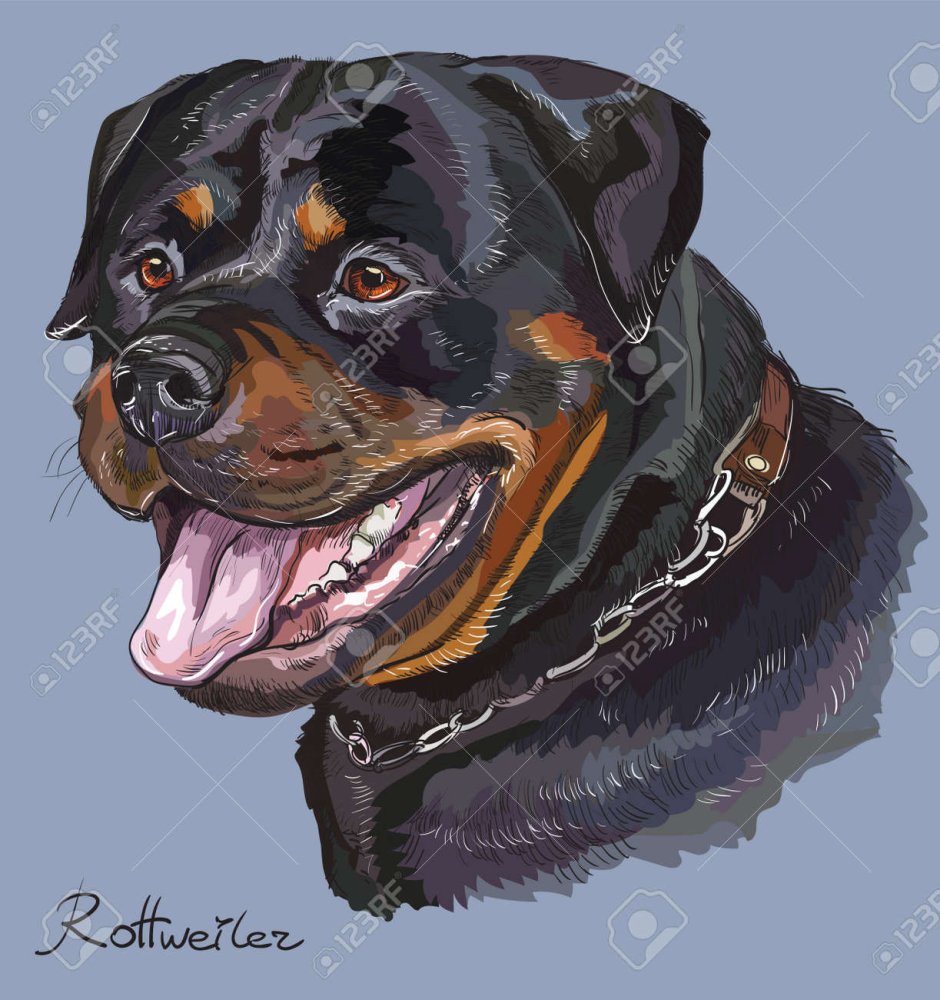 Ротвейлер в костюме логотип