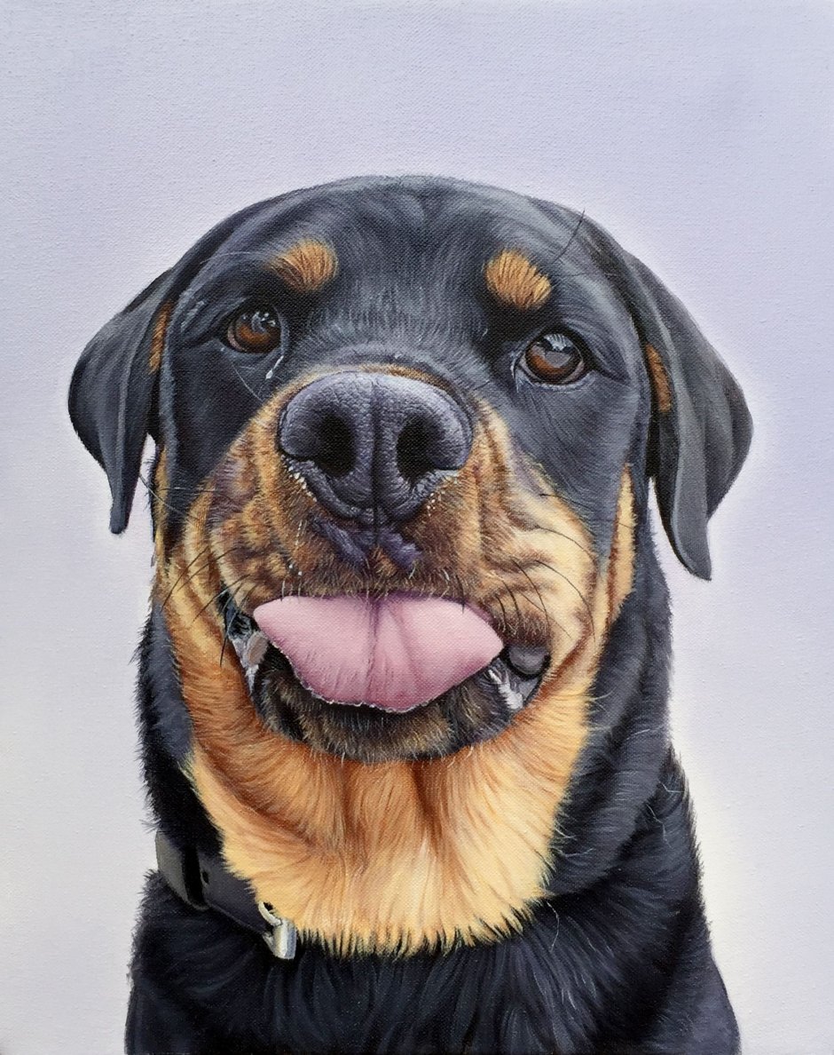 Ротвейлер из ГТА 5