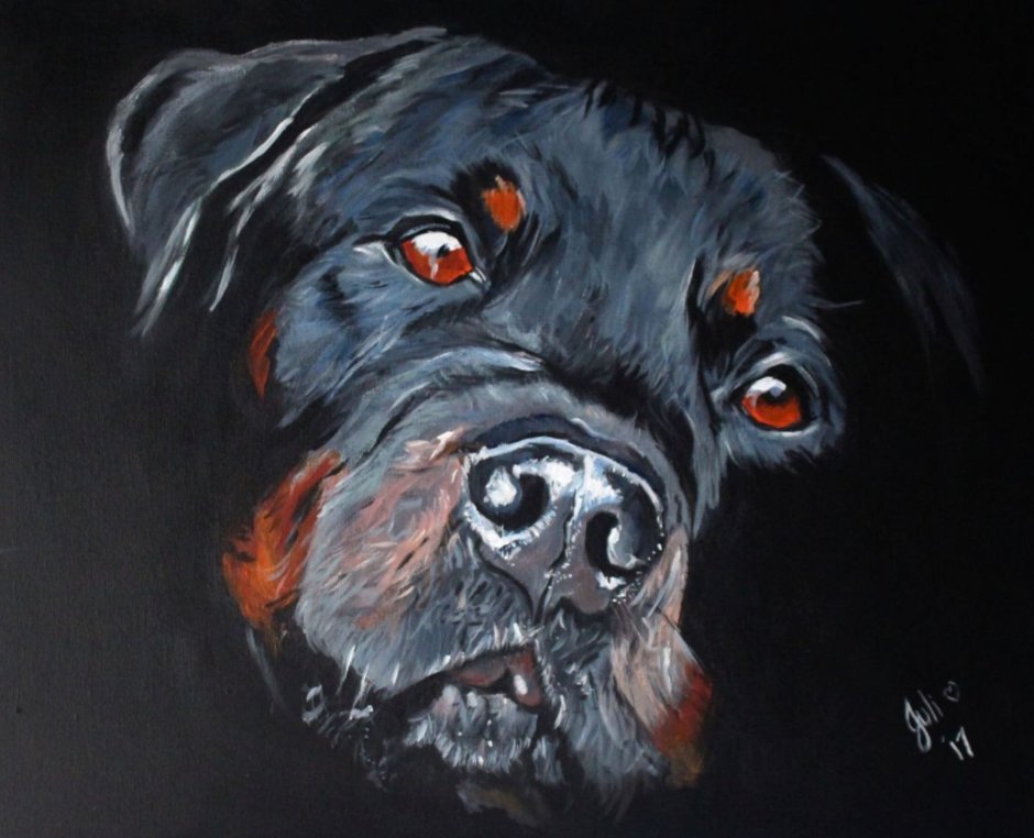 Золотой ротвейлер щенок