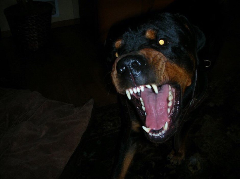 Оксана Дегтярь модель витилиго