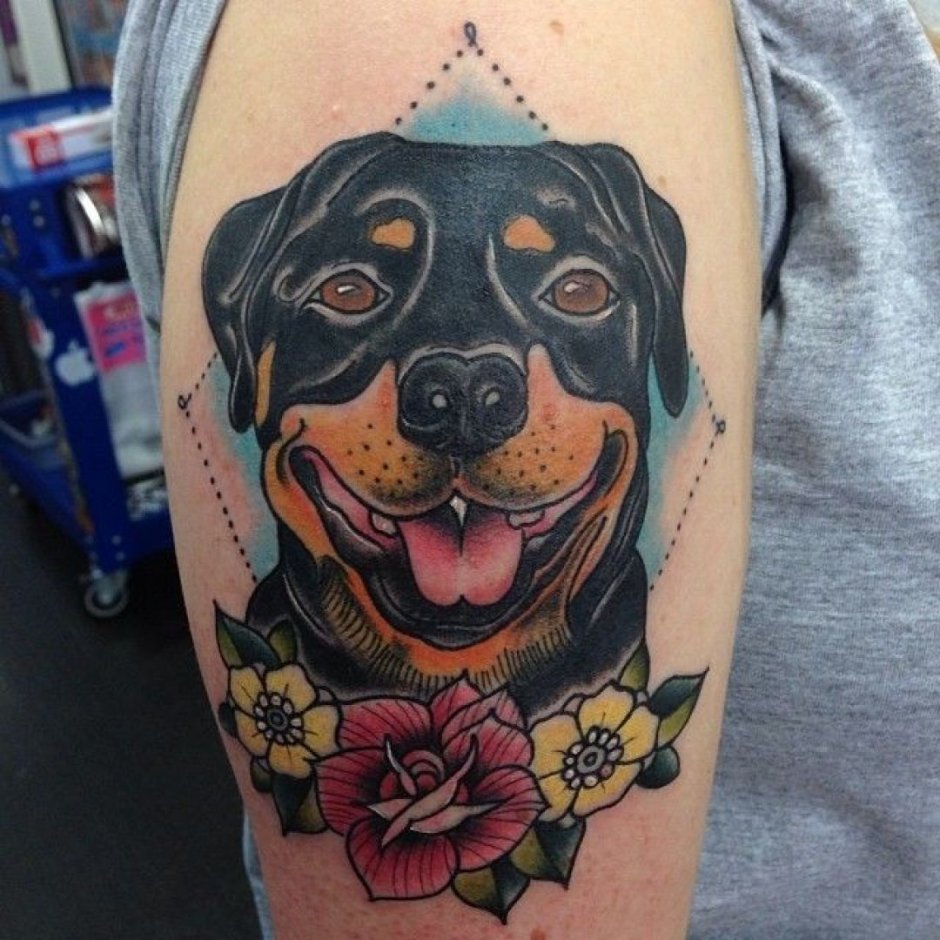 Ротвейлер и питбуль