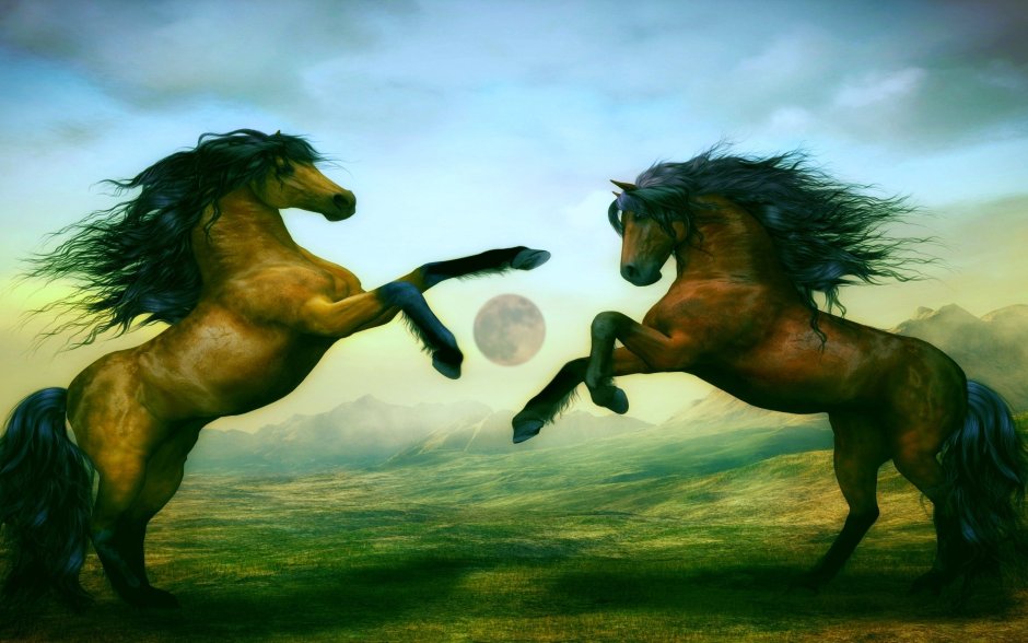 Лошади Эстетика