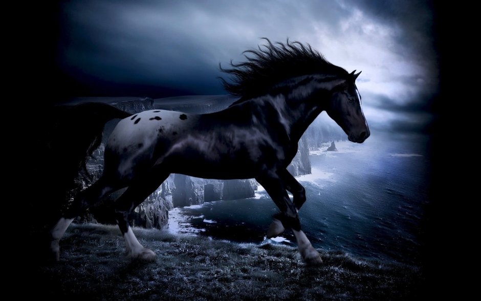 Тройка белых лошадей