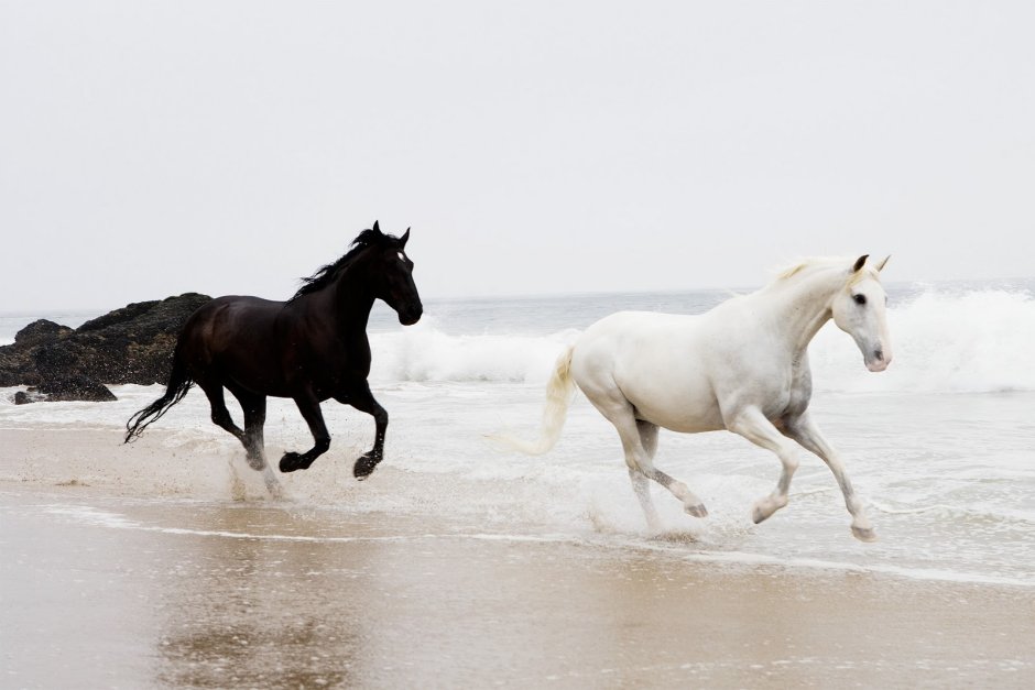 Красивые Единороги