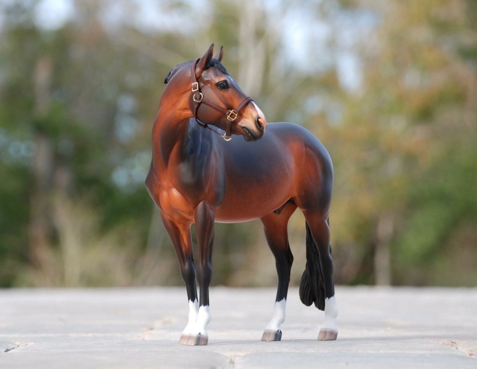 Масть лошади Palomino