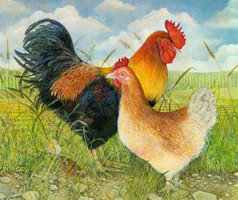 Петушок и Курочка