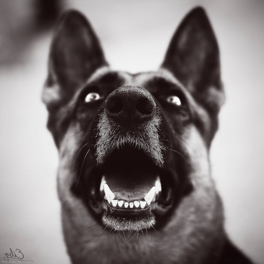 Ава в отпуске ВК