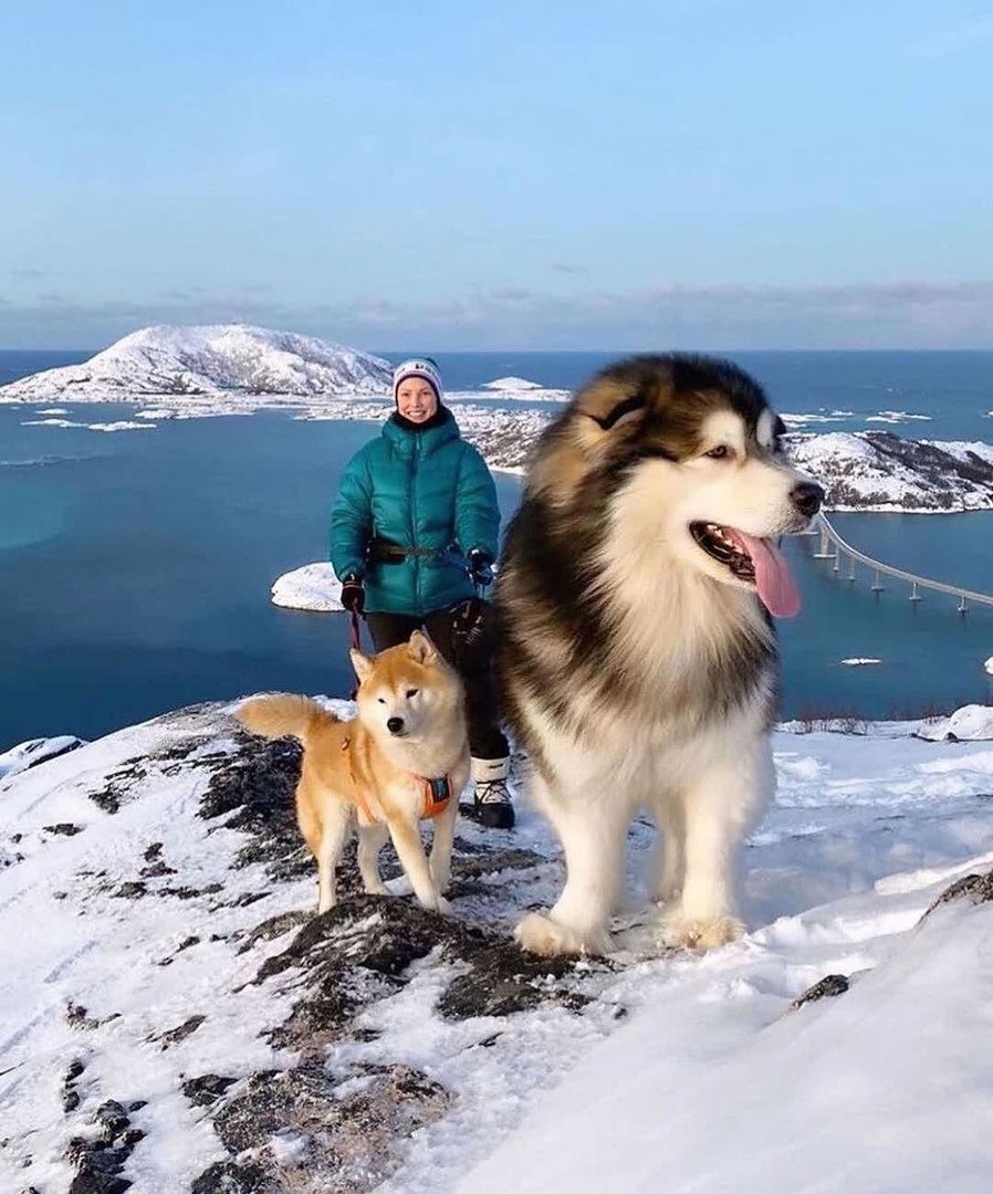 Страница удалена ВК