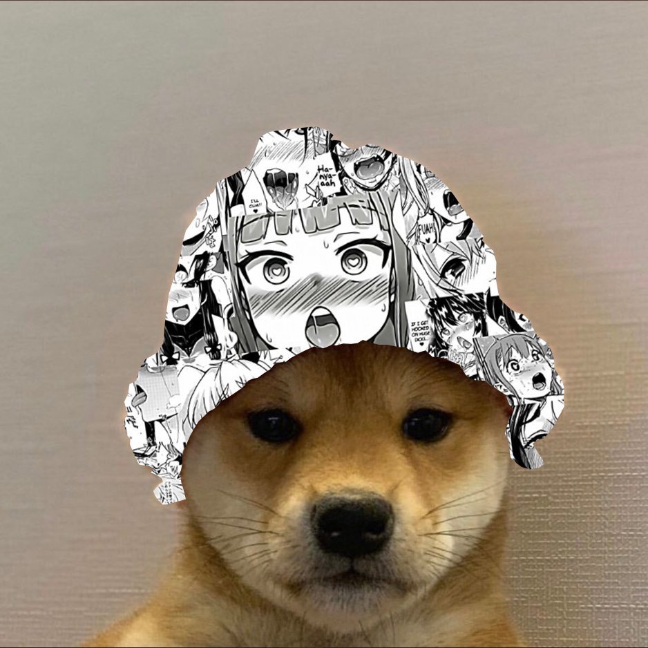 Ротвейлер собака злой