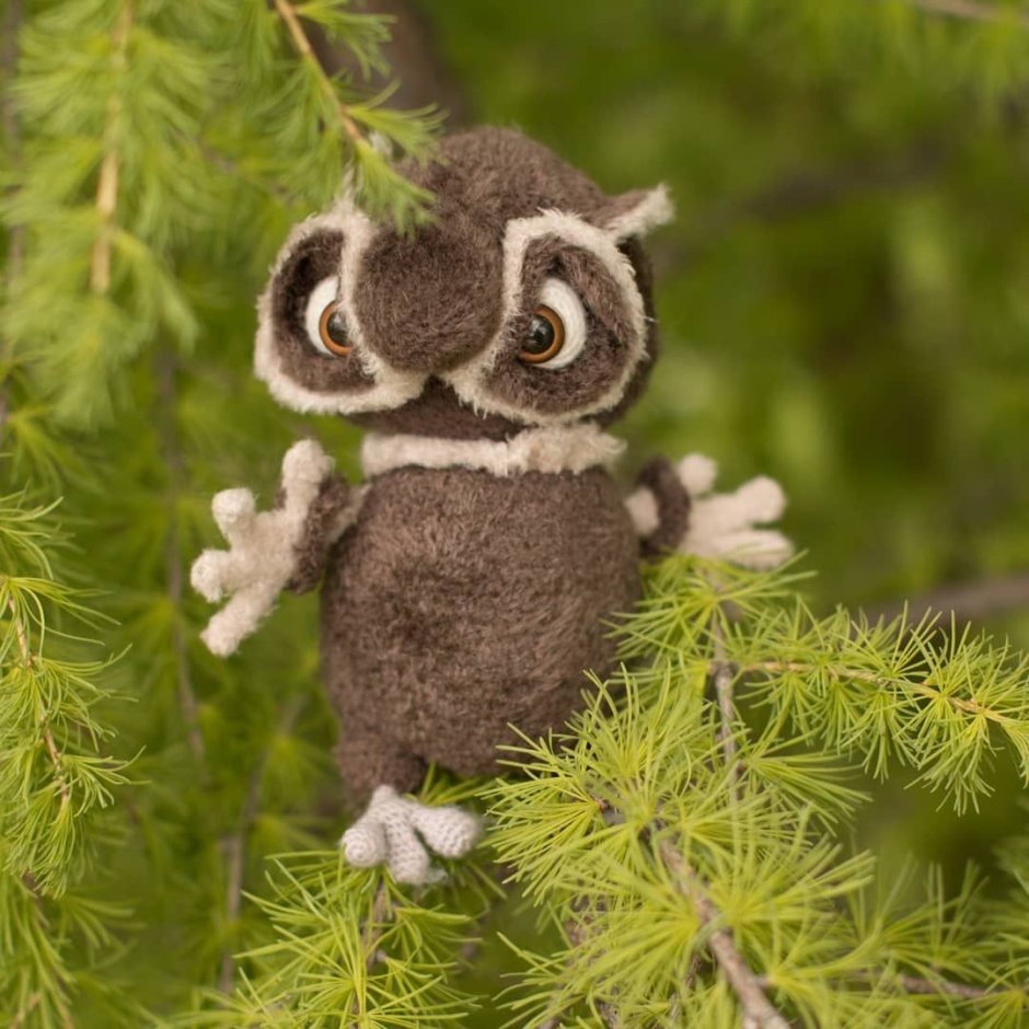 Взгляд Совы