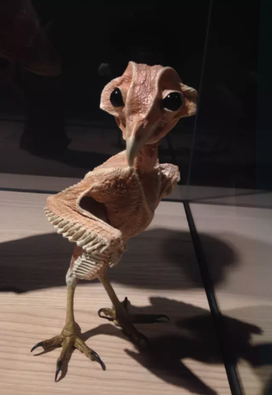 Гнездо Совы